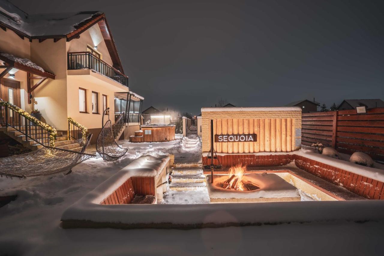 Roots Villa Sequoia Μπρασόβ Εξωτερικό φωτογραφία